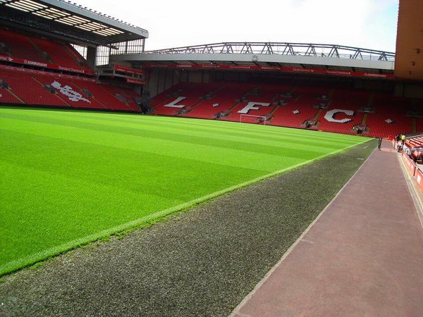 La pelouse du stade de Liverpool